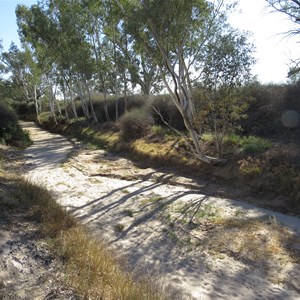 150 m from Cooper Ck in Sept 2015