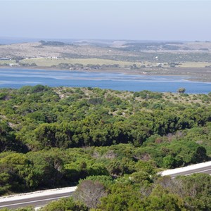 Pelican Lagoon 