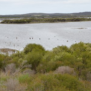 Murray Lagoon