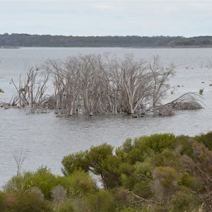 Murray Lagoon