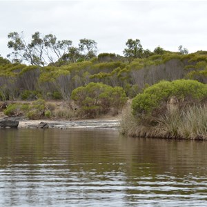 Harriet River 