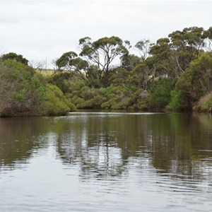 Harriet River 