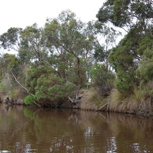 Harriet River 