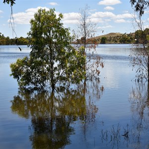 Pekina Dam 