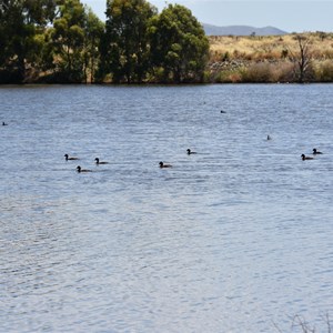 Pekina Dam 