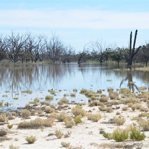 Punkah Creek