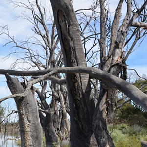 Punkah Creek