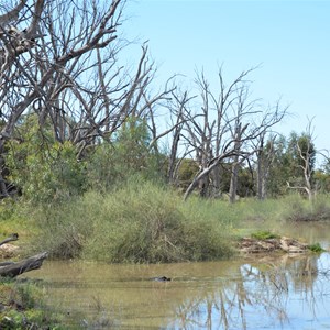 Punkah Creek