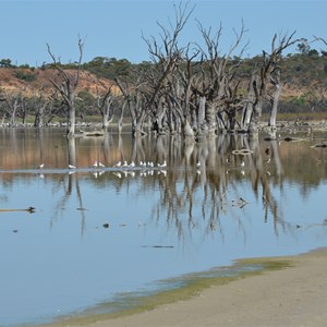 Ramco Lagoon