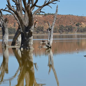 Ramco Lagoon