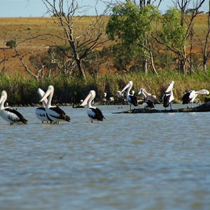 Gurra Gurra Lake