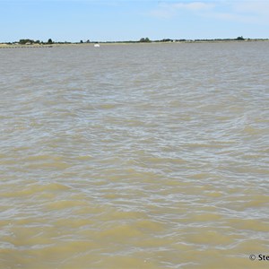 Lake Alexandrina at Milang