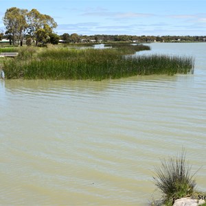 Lake Albert at Meningie