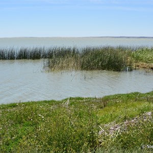 Lake Albert at Meningie