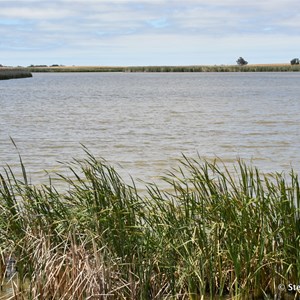 Lake Albert from the Narrows near Narrung