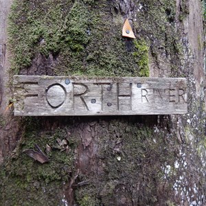 Forth River - Overland Track