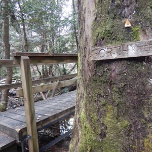 Forth River - Overland Track