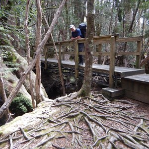 Forth River - Overland Track