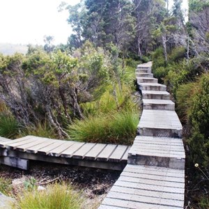 The more difficult parts of the walk are made easy by the use of board walks