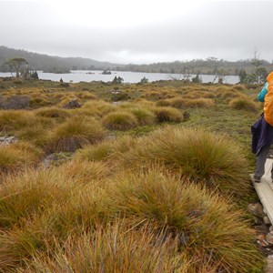 Lake Windermere - Overland Track