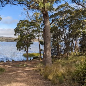 Tooms Lake