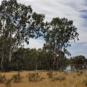 Lake Hattah or Bulla or Arawak