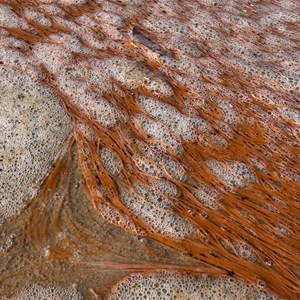 Lake Kenyon