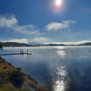 Morning mist  Jan 2025