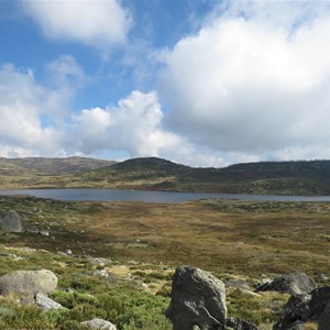 Amidst the Bogong High plains