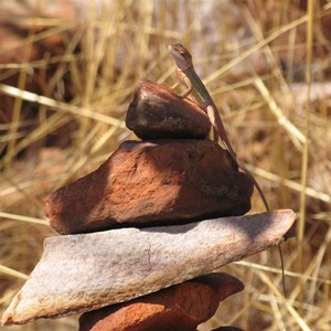 Cairn climber