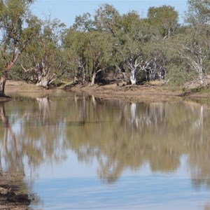Billiluna Pool