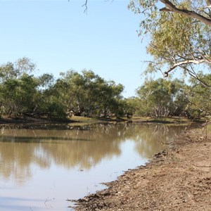 Billiluna Pool