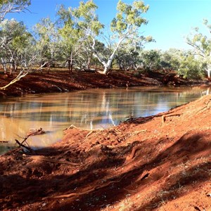 Fortesque River near Roy Hill