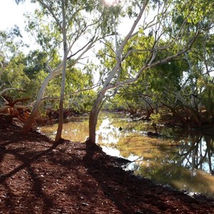 Fortesque River near Roy Hill