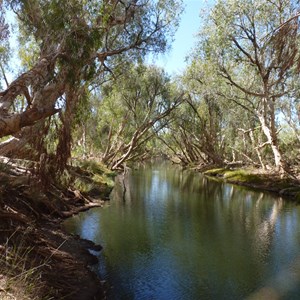 Eel Pool (Running Waters) June 2010