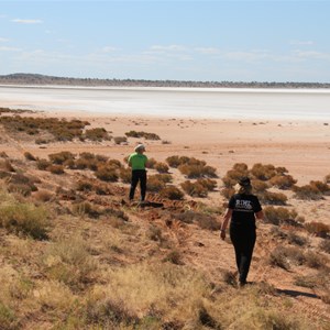 Western shore of Lake Hazlett