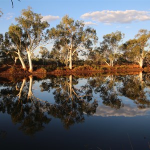 Edithana Pool