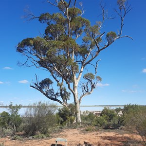 Lake Koorkoordine