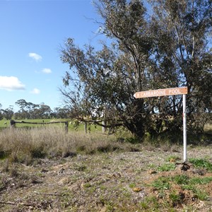 Carberdine Pool