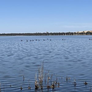 Wagin Lake