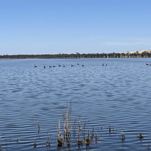 Wagin Lake