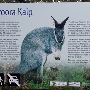 Blue Lake interpretive signage.