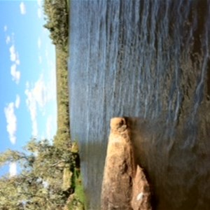 Old Police Station Waterhole, Davenport Ranges National Park