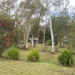 Mount Garnet Traveller's Park