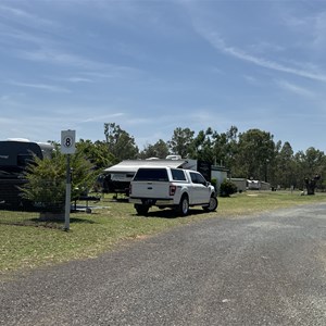 Dingo Caravan Park