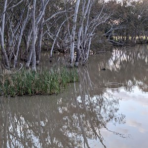 Urana Caravan Park and Aquatic Centre