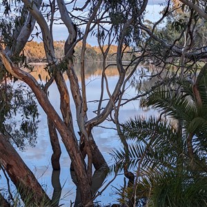 Urana Caravan Park and Aquatic Centre