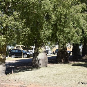 Mitchell Caravan Park