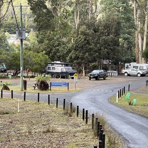 Mount Field Campground