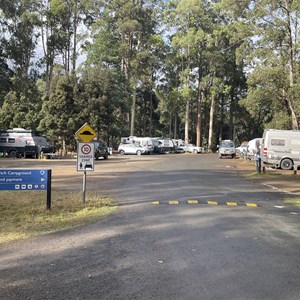 Mount Field Campground